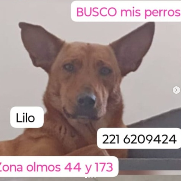 Derek y Lilo