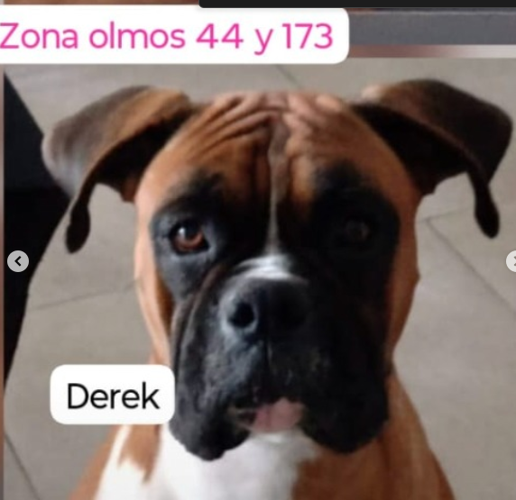 Derek y Lilo - Imagen 2